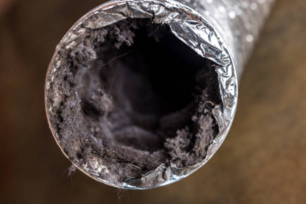 Best General Air Duct Cleaning  in Elizabeth, PA