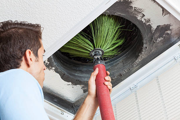 Best Duct Cleaning for Offices  in Elizabeth, PA